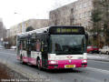 Citybus 163