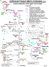 mapa.gif (42259 bytes)